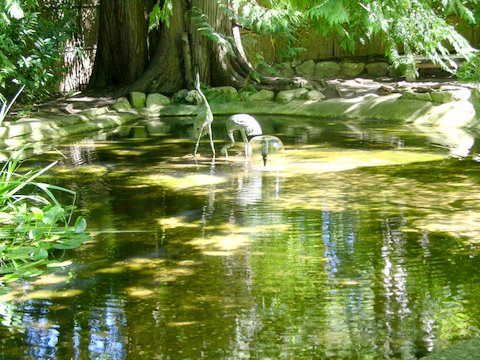 Japanese Gardens 3 Stock