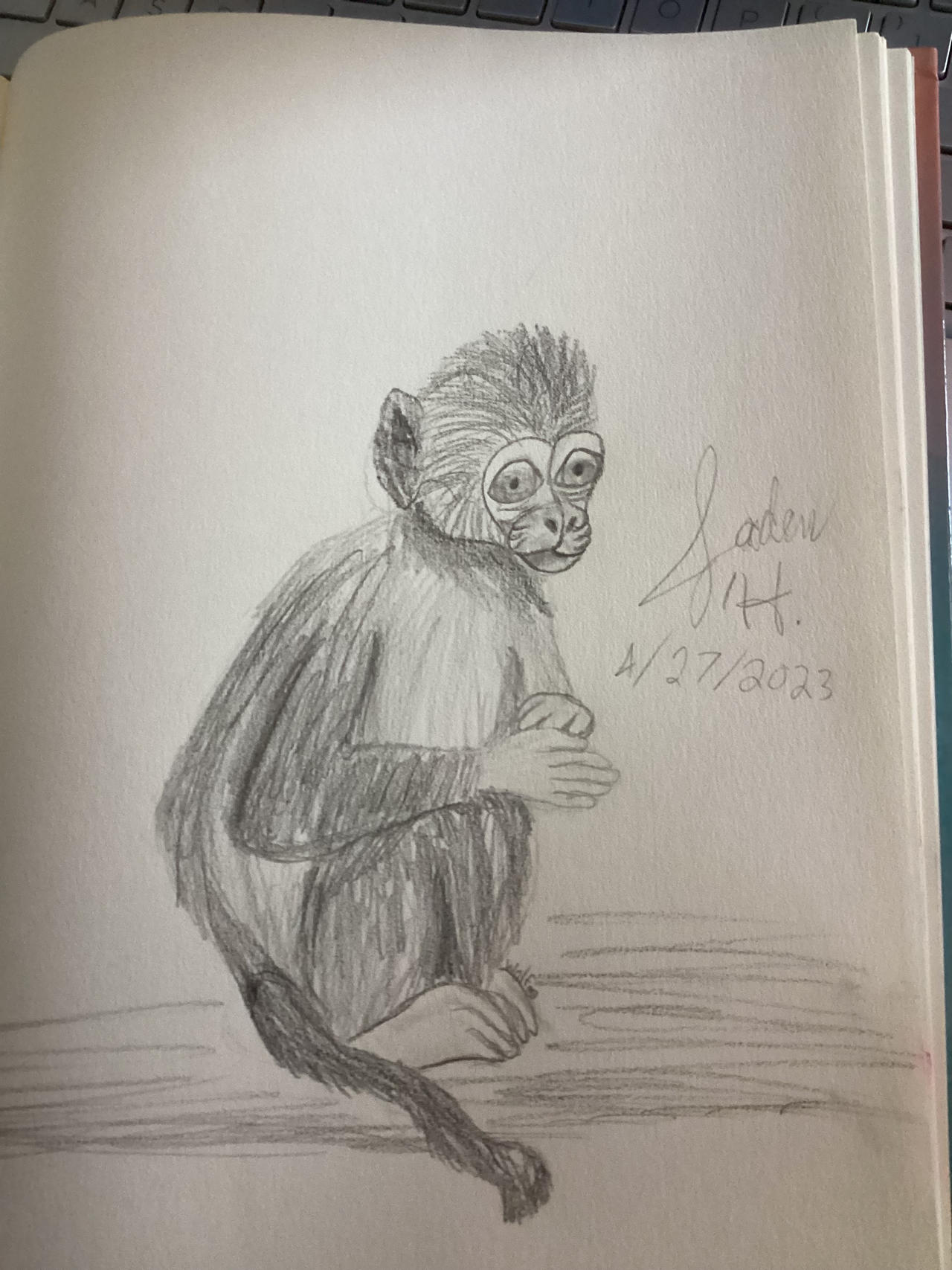 Baby monkey by WolfPupAtHeart on DeviantArt