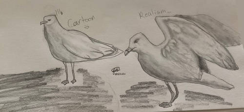 Cartoon and Realism Seagulls