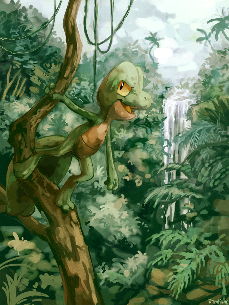 Jungle Adventures With Treecko