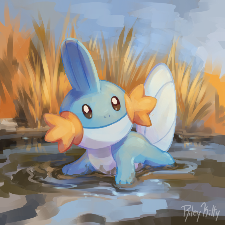 Mudkip Real Mudkip by RileyKitty on DeviantArt