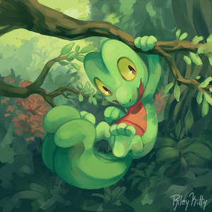 Treecko