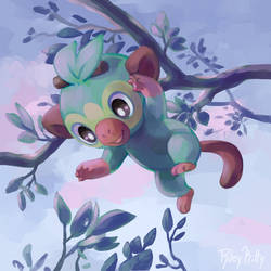 Grookey