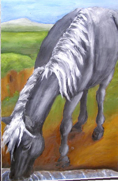 Black Horse Drinking -AP ART- by zones15 on DeviantArt