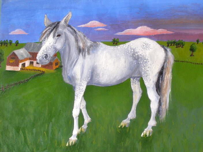 Appaloosa Horse -AP ART- by zones15 on DeviantArt