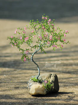 Pink flowers - 2