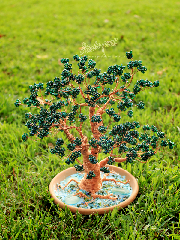 Bonsai in a bowl