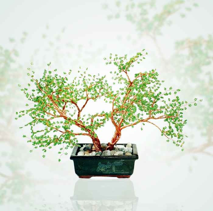 Bonsai