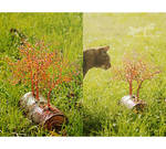 Colours of Autumn by beads-poet