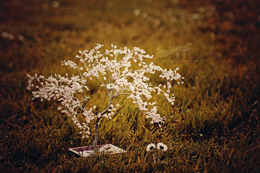 Cherry Tree