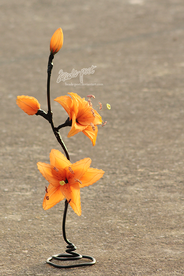 Orange Lilium