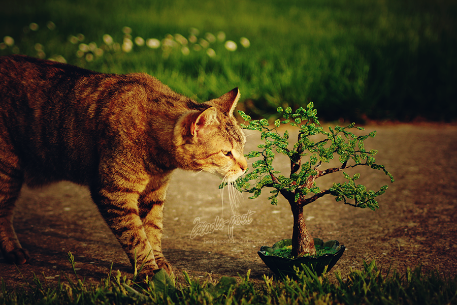 Cat and beaded tree