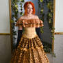 gold ball gown on the crinoline