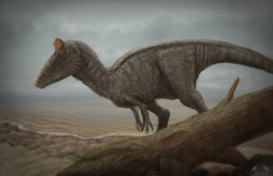 Week 18 - Cryolophosaurus