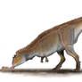 Carnotaurus