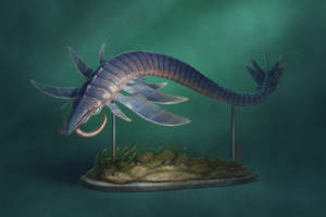 QMNH 2192 - Carcharcaris