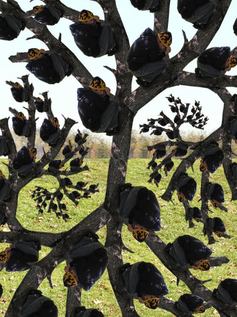 Thoma Tree Tom Tree by danieljoelnewman on DeviantArt