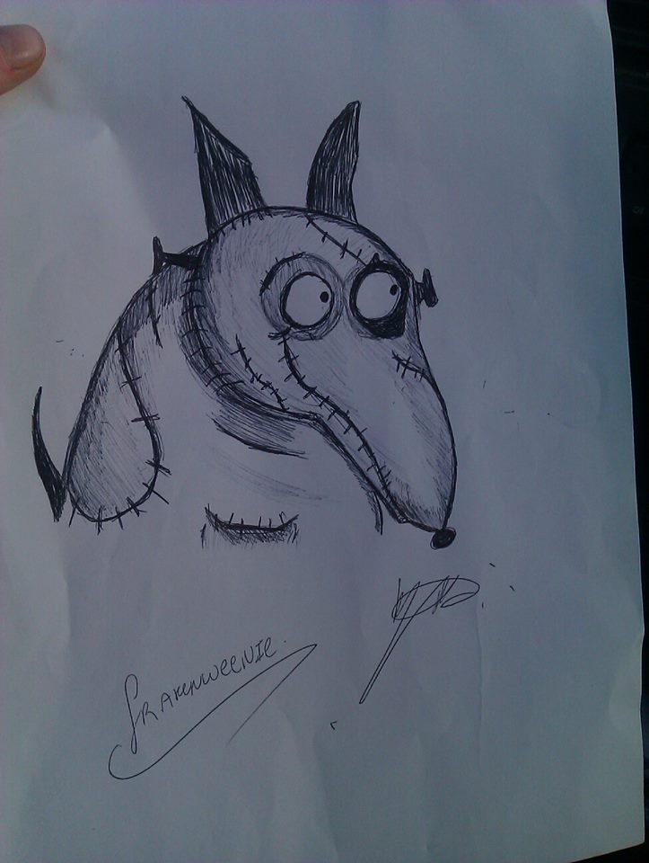 'Sparky' from Tim Burtons Frankenweenie!