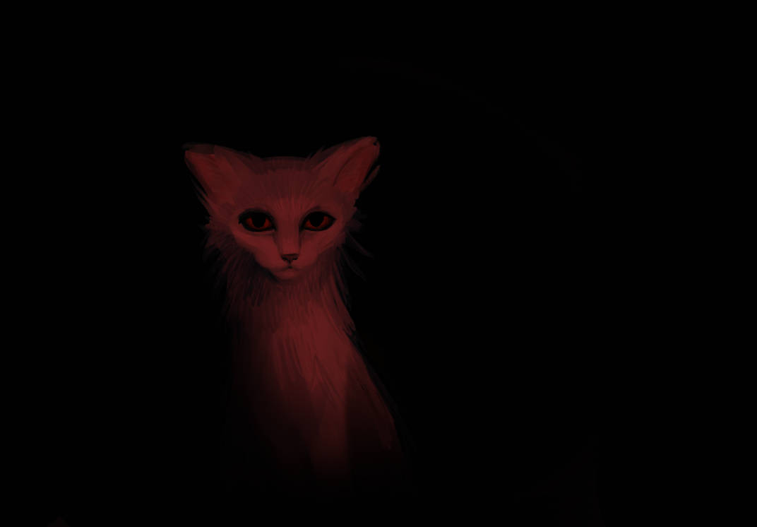 red cat by ypuos on DeviantArt