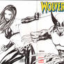 Wolverine sketch cover