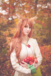 More apples please! - Spice and Wolf (2)