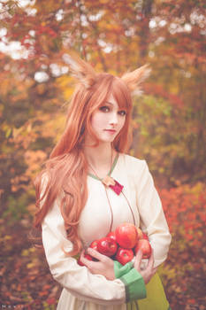 More apples please! - Spice and Wolf (2)