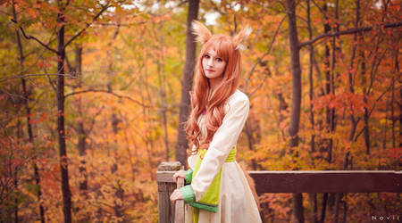 A walk in the woods- Spice and Wolf (2)