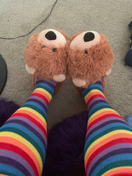 Bear Slippers 5