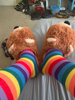 Bear Slippers 6