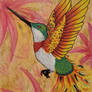 Humming Bird Phoenix