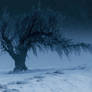 Icefield Ledger // Lonely Tree