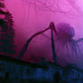 In the fog