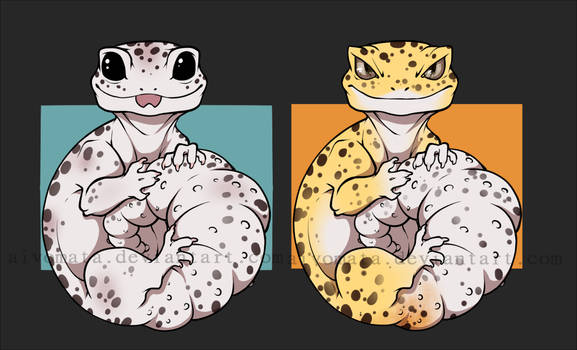 Grumpy Gecko Explore the Best Gecko Art | DeviantArt