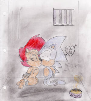 Sonic And Sally: Prisoners Of Love