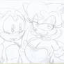 Sonic Meets his Future Self Sapphire
