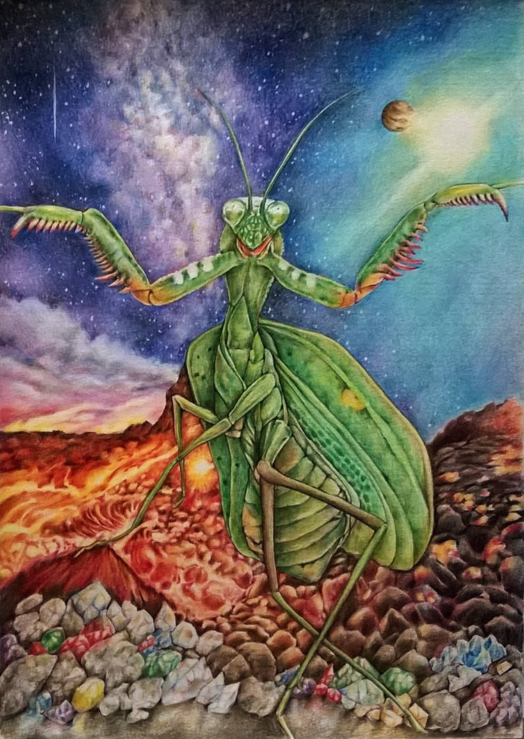 Mants Deviantart mantis by jyacini on DeviantArt