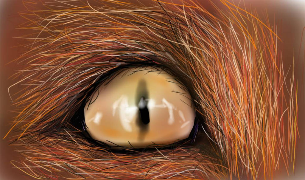 fox eye #2