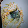 philippine eagle wip