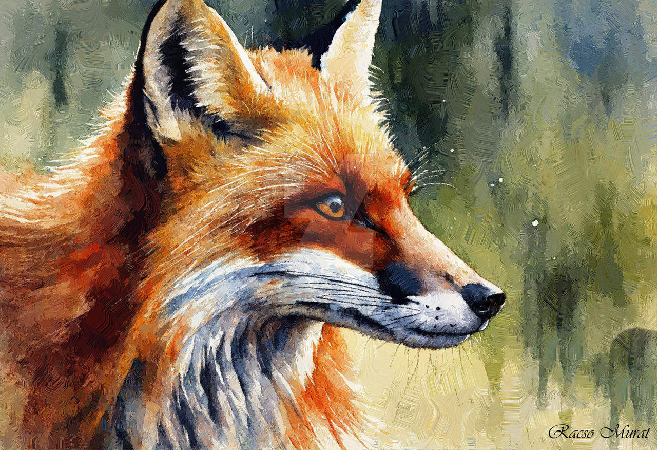 Fox Rouges Art Red Fox 1518 by Racso-Murat on DeviantArt