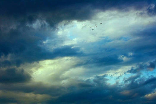 flight to black