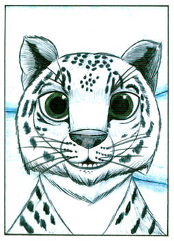 DA Tutorials Snow leopard