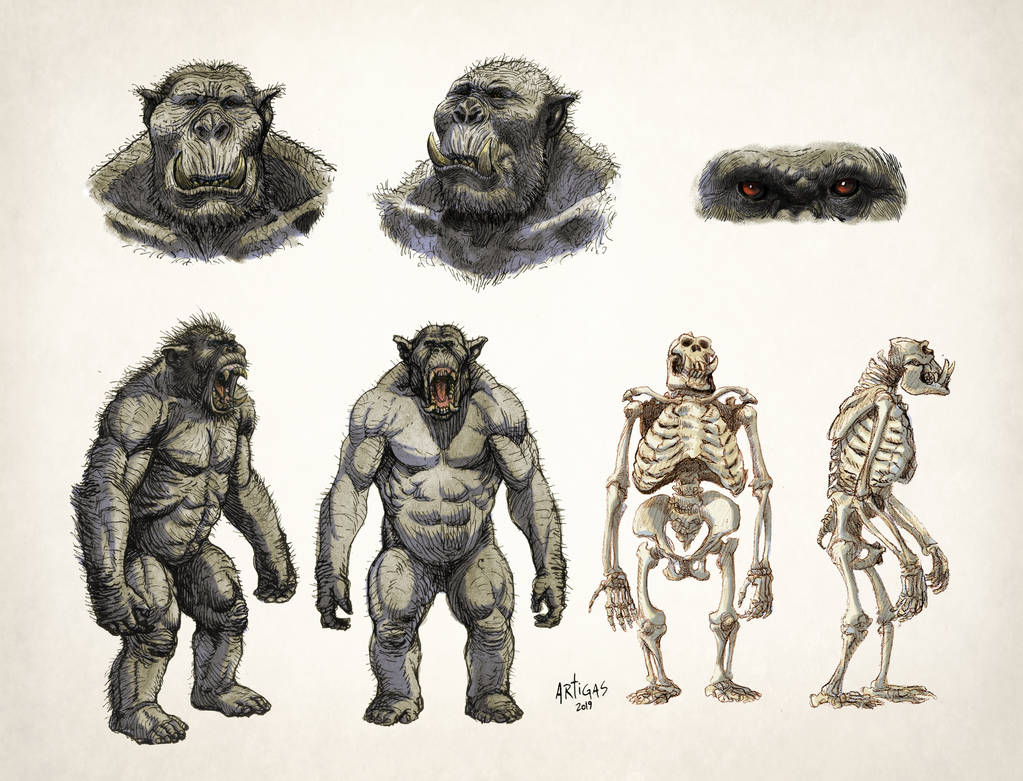Orc Anatomy details Orc Anatomy details