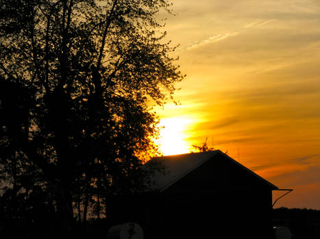 Barn Sunset