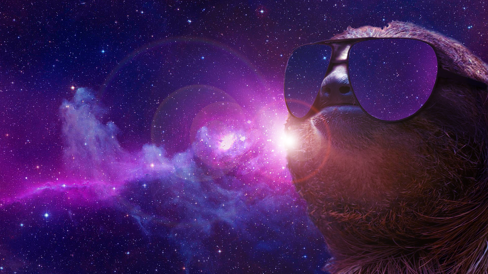 Sloth Wallpaper Photoshop