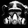 Gas Mask Chimp