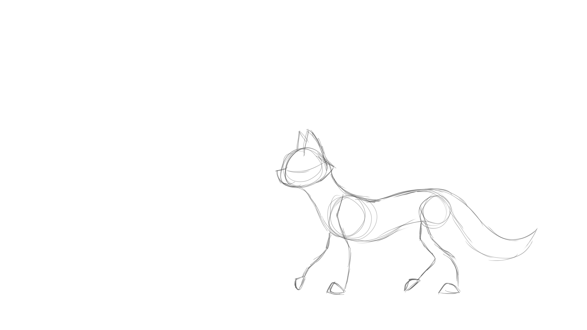Cat Animation Sketch by Meowimator on DeviantArt Cat Animation Sketch by Meowimator on DeviantArt