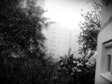 A foggy morning...