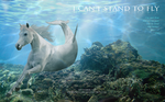 Kalel As A Hippocampus by equestrian88