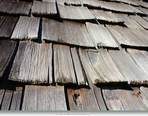 Unrestricted Texture - Wood Shingles