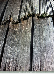 Unrestricted Texture - Wood Shingles 2